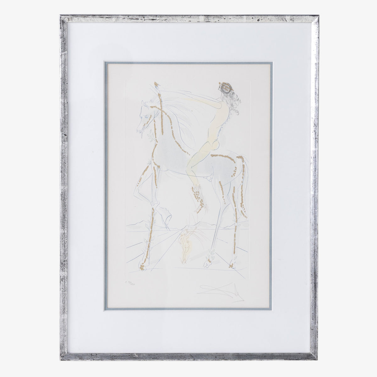 Mixed media in silver frame