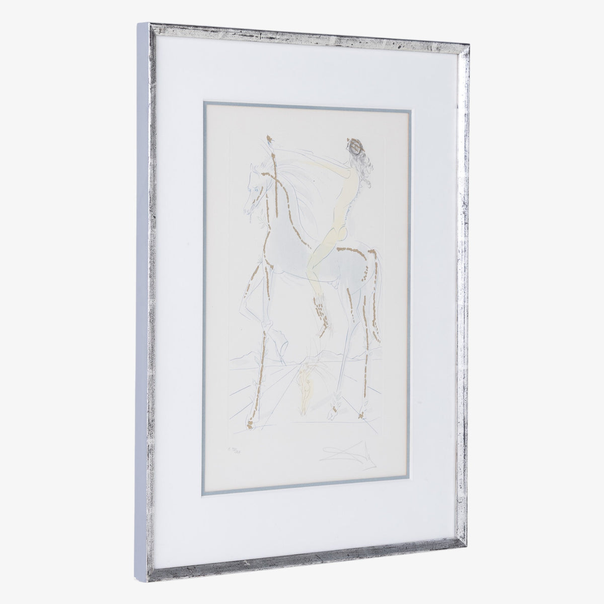 Mixed media in silver frame